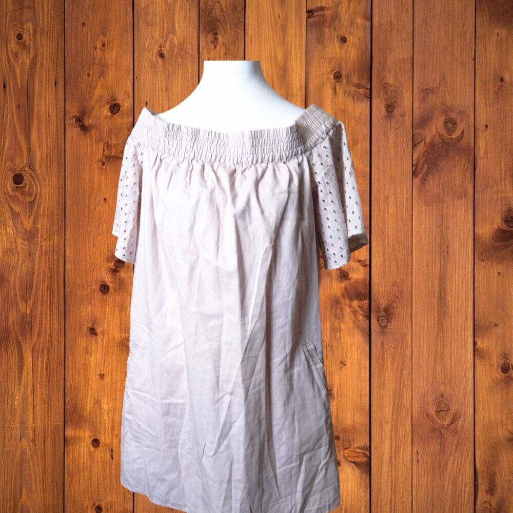 AllSaints Size Large Light Pink Lace Short Sleeve Off The Shoulder Mini Dress